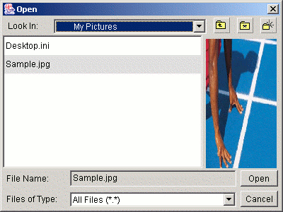 file dialog screenshot